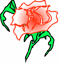 Synchro Rose
